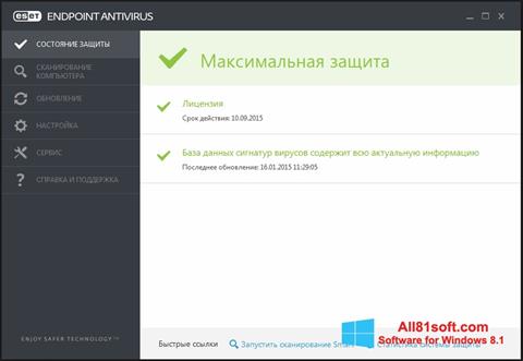 Screenshot ESET Endpoint Antivirus for Windows 8.1