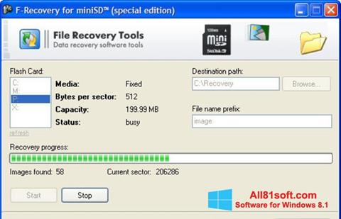 Screenshot F-Recovery SD for Windows 8.1