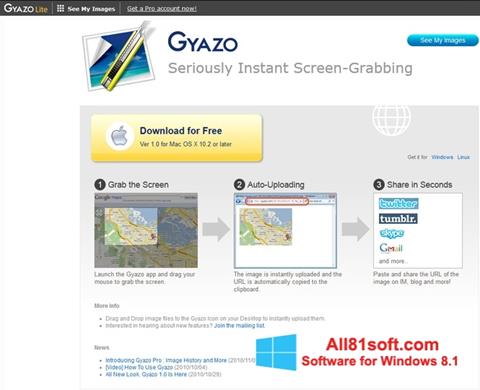Screenshot Gyazo for Windows 8.1