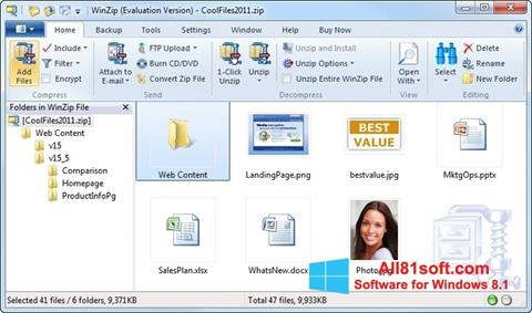 free download winzip for windows 8.1 64 bit