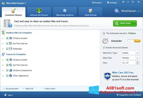 Screenshot Wise Disk Cleaner for Windows 8.1