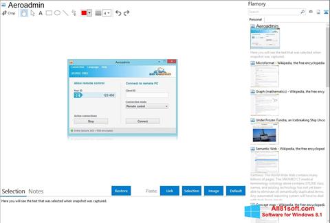 Screenshot AeroAdmin for Windows 8.1