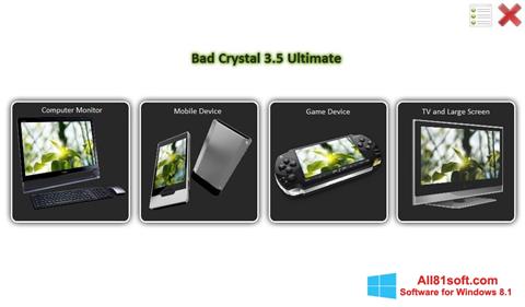 Screenshot Bad Crystal for Windows 8.1