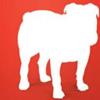 BullGuard for Windows 8.1