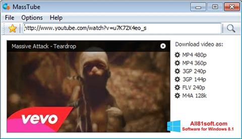 Screenshot MassTube for Windows 8.1