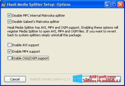 Screenshot Haali Media Splitter for Windows 8.1