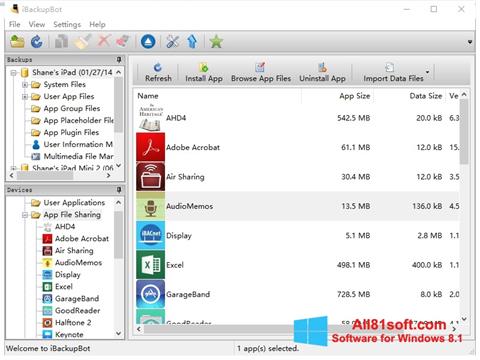 Screenshot iBackupBot for Windows 8.1