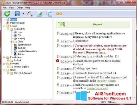 Screenshot Multi Password Recovery for Windows 8.1
