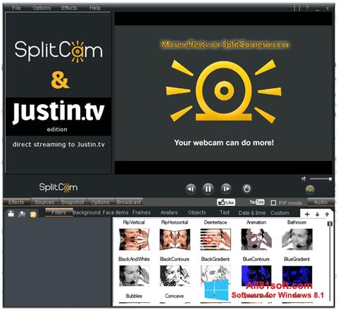 Screenshot SplitCam for Windows 8.1