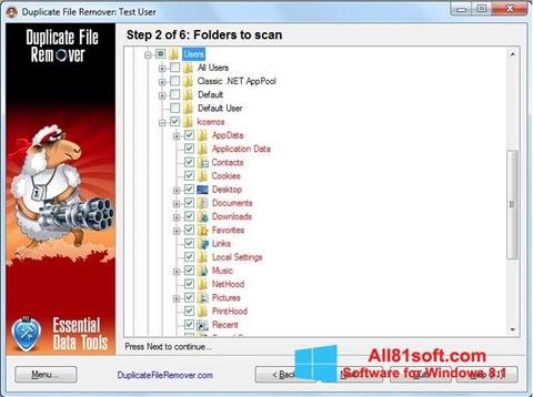 Screenshot Duplicate File Remover for Windows 8.1