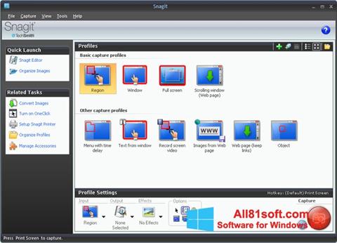 snagit free download windows 7 64 bit