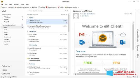 Screenshot eM Client for Windows 8.1