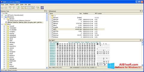 Screenshot DMDE for Windows 8.1