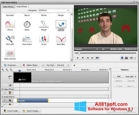 Screenshot AVS Video Converter for Windows 8.1