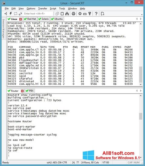 Screenshot SecureCRT for Windows 8.1