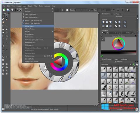 Screenshot Krita for Windows 8.1