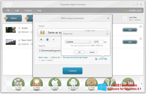 Screenshot Freemake Video Converter for Windows 8.1