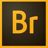 Adobe Bridge for Windows 8.1