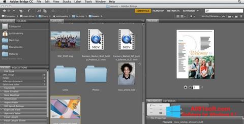 Screenshot Adobe Bridge for Windows 8.1