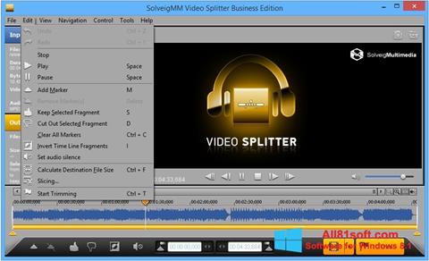 Screenshot SolveigMM Video Splitter for Windows 8.1