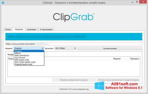 Screenshot ClipGrab for Windows 8.1