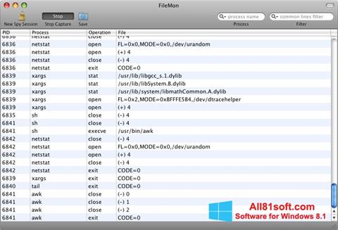 Screenshot FileMon for Windows 8.1