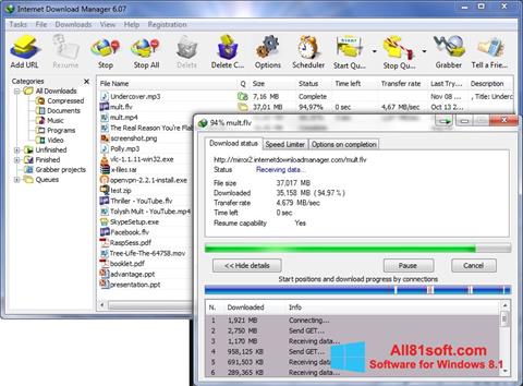 Screenshot Internet Download Manager for Windows 8.1