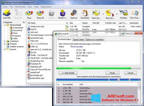 Download Internet Download Manager For Windows 8 1 32 64 Bit In English