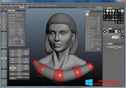 Screenshot 3D-Coat for Windows 8.1