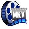 MKV Player