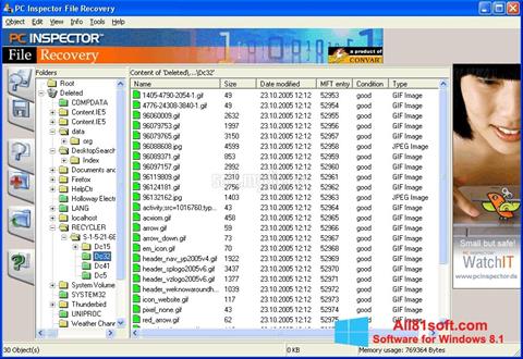 Screenshot PC Inspector File Recovery for Windows 8.1
