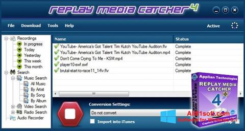 Screenshot Replay Media Catcher for Windows 8.1