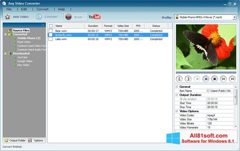 Screenshot Any Video Converter for Windows 8.1