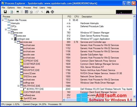 Screenshot Process Explorer for Windows 8.1