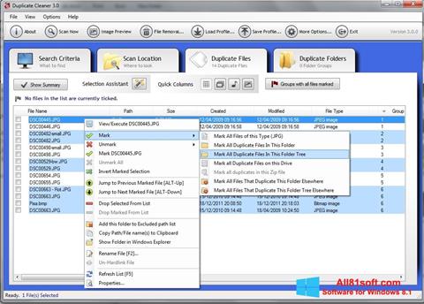 windows duplicate file cleaner review