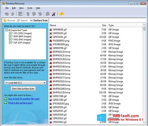 Screenshot Pandora Recovery for Windows 8.1