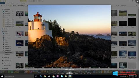 Screenshot Picasa Photo Viewer for Windows 8.1