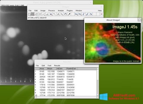 Screenshot ImageJ for Windows 8.1