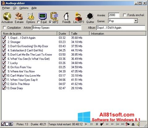 Screenshot Audiograbber for Windows 8.1