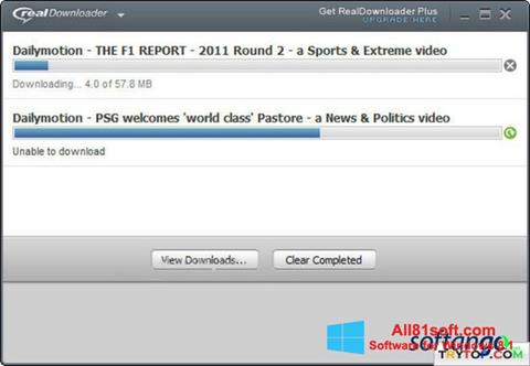 Screenshot RealDownloader for Windows 8.1