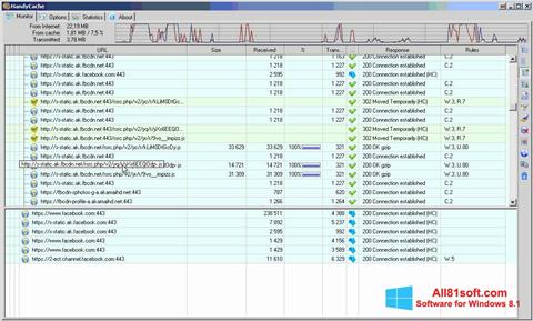 Screenshot HandyCache for Windows 8.1