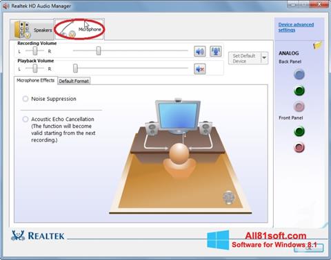 Screenshot Realtek Audio Driver for Windows 8.1