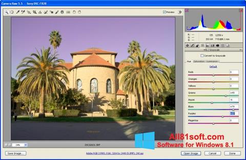 Screenshot Adobe Camera Raw for Windows 8.1