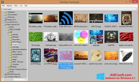 Screenshot IrfanView for Windows 8.1